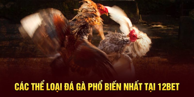 Các thể loại đá gà phổ biến nhất tại 12BET