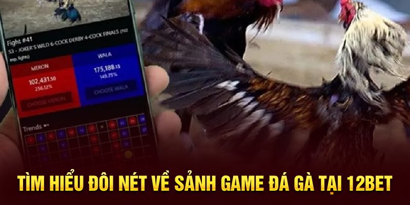 Tìm hiểu đôi nét về sảnh game đá gà tại 12BET